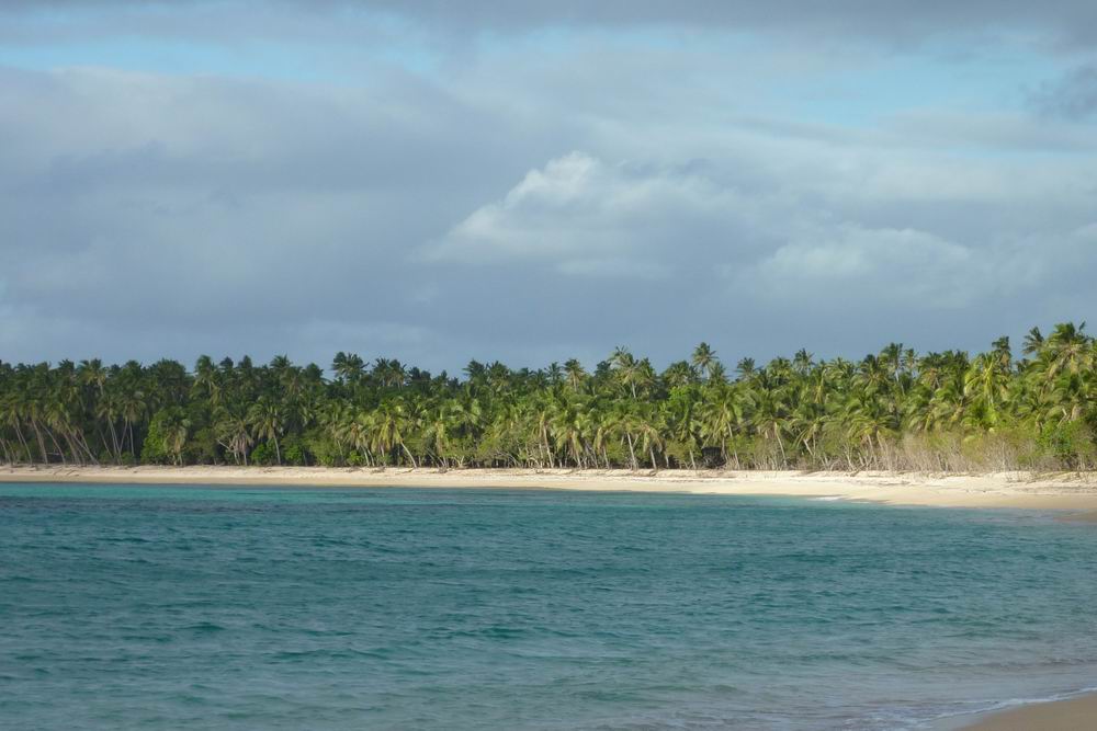 095_prázdná pláž, jen kokosové palmy.JPG